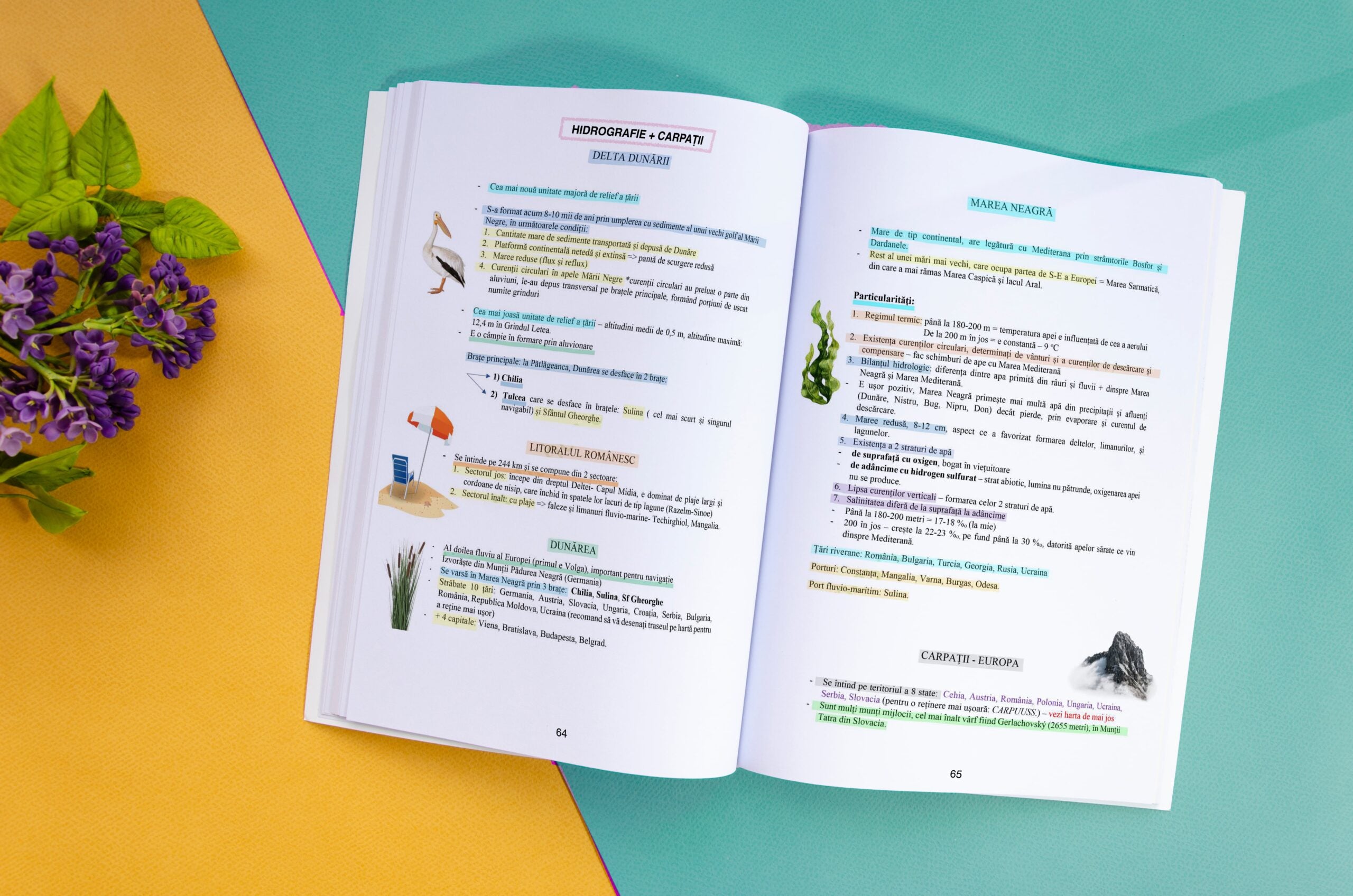 1. Interior-Carte-Geografie-Bacalaureat-Bacademia-min
