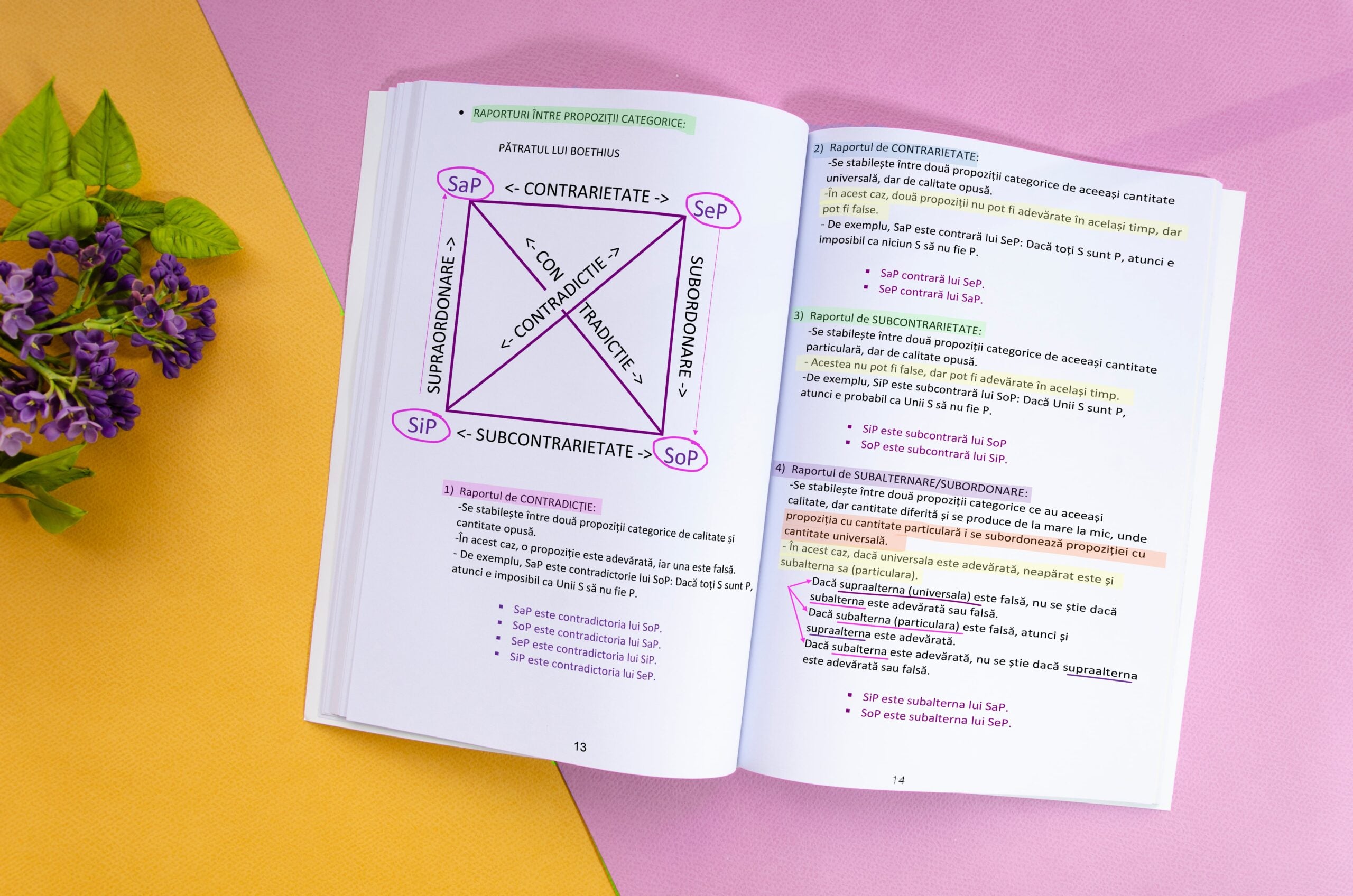 1. Interior-Carte-Logică-Bacalaureat-Bacademia-min