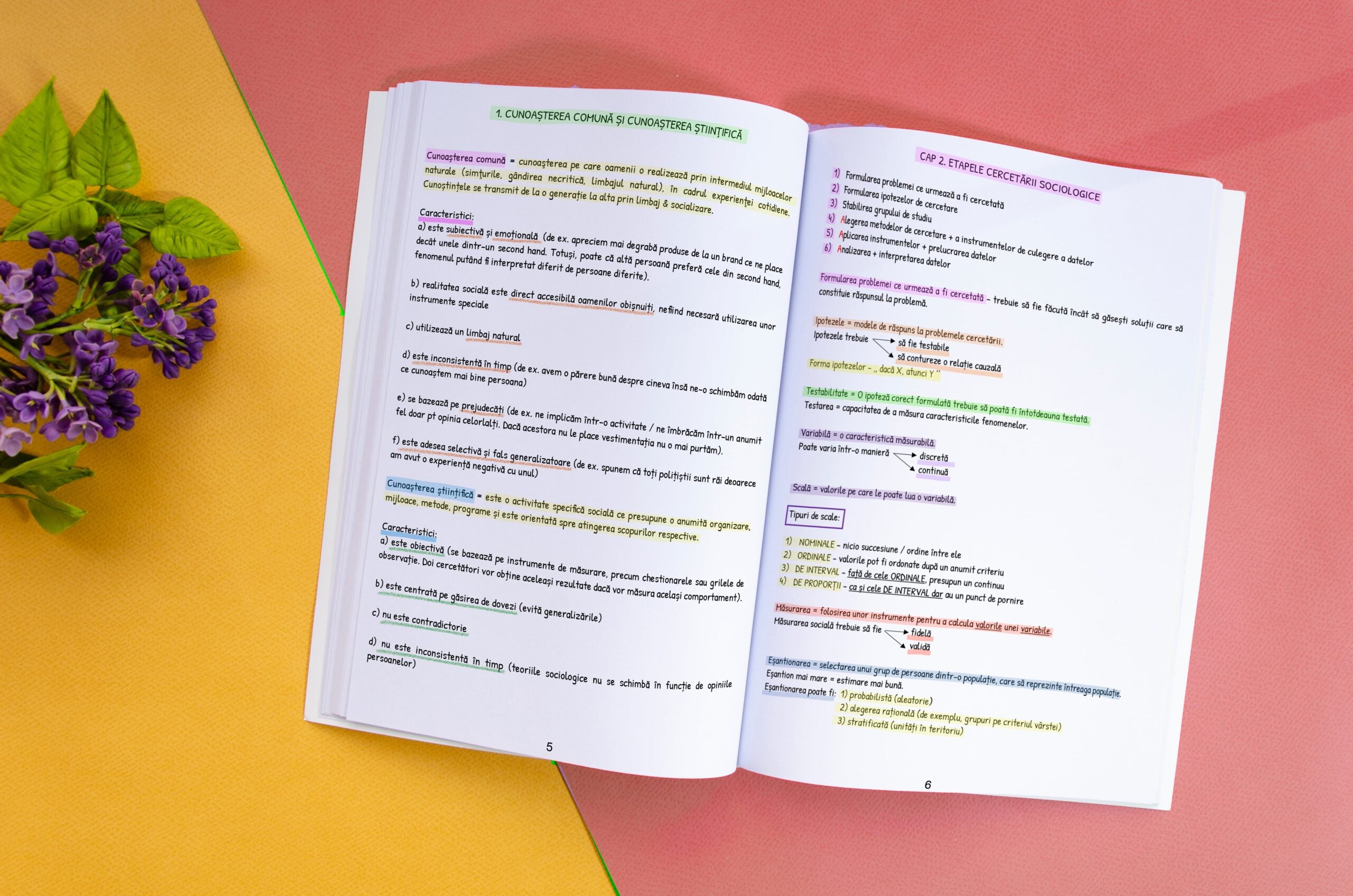 1. Interior-Carte-Sociologie-Bacalaureat-Bacademia-min