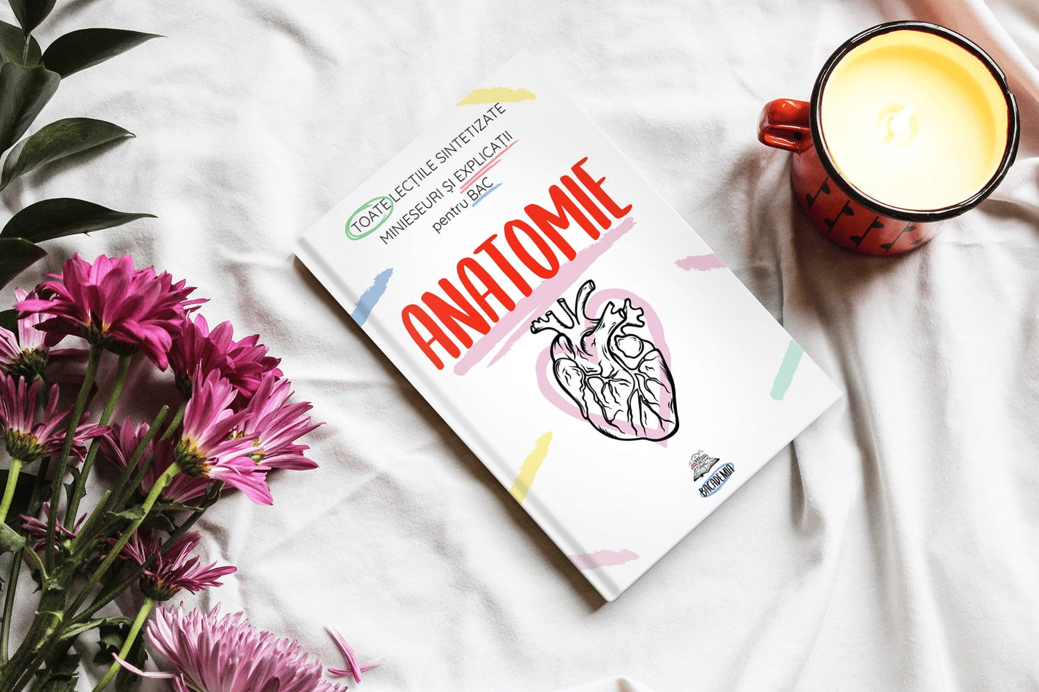 2. Carte-Anatomie-Bacalaureat-Bacademia-min