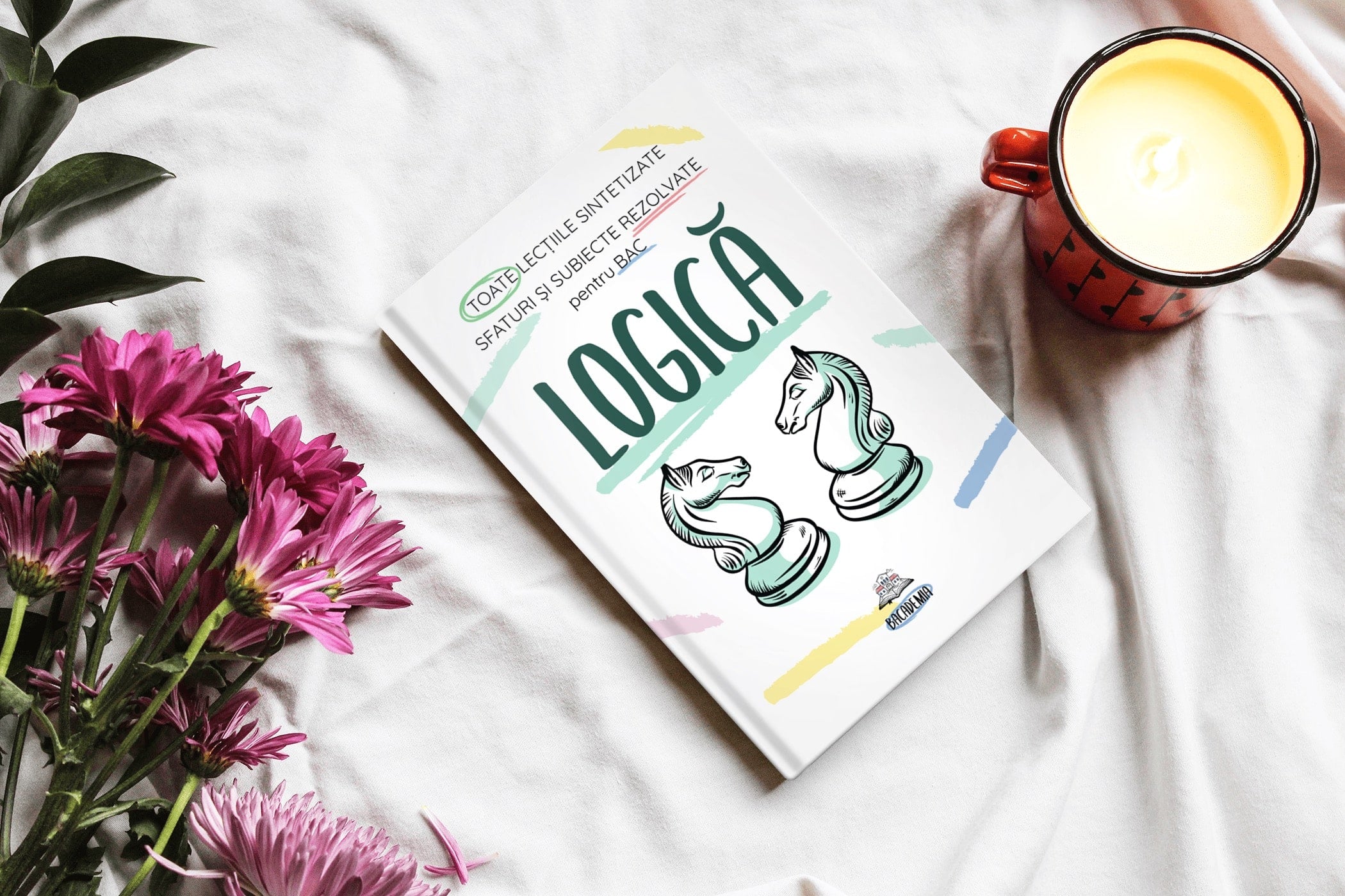 2. Carte-Logică-Bacalaureat-Bacademia-min