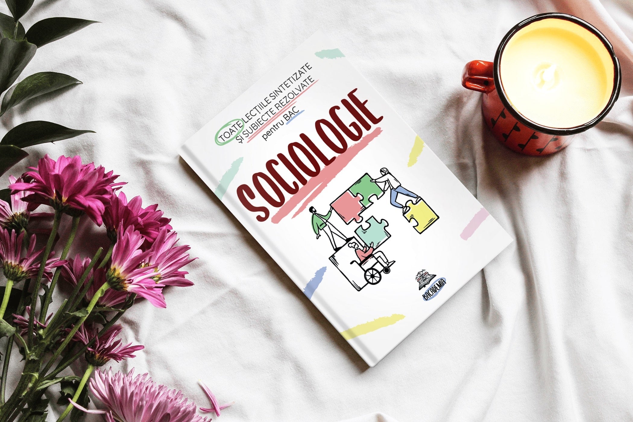 2. Carte-Sociologie-Bacalaureat-Bacademia-min