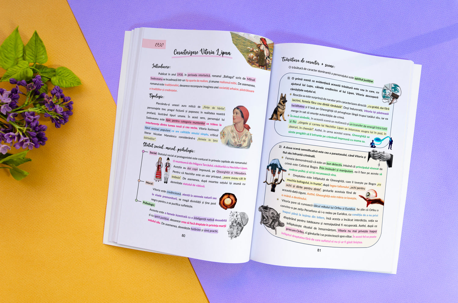 Pachet Bacalaureat (Română + Fizică)