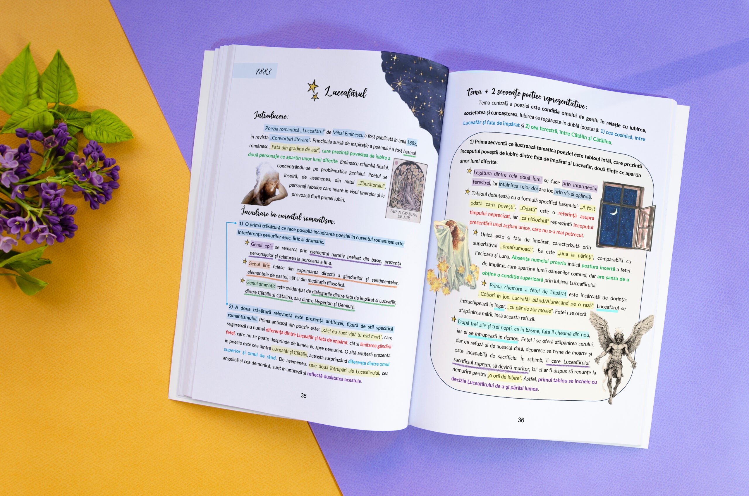 BACADEMIA-INTERIOR-CARTE-ROMANA-A-II-A-EDITIE