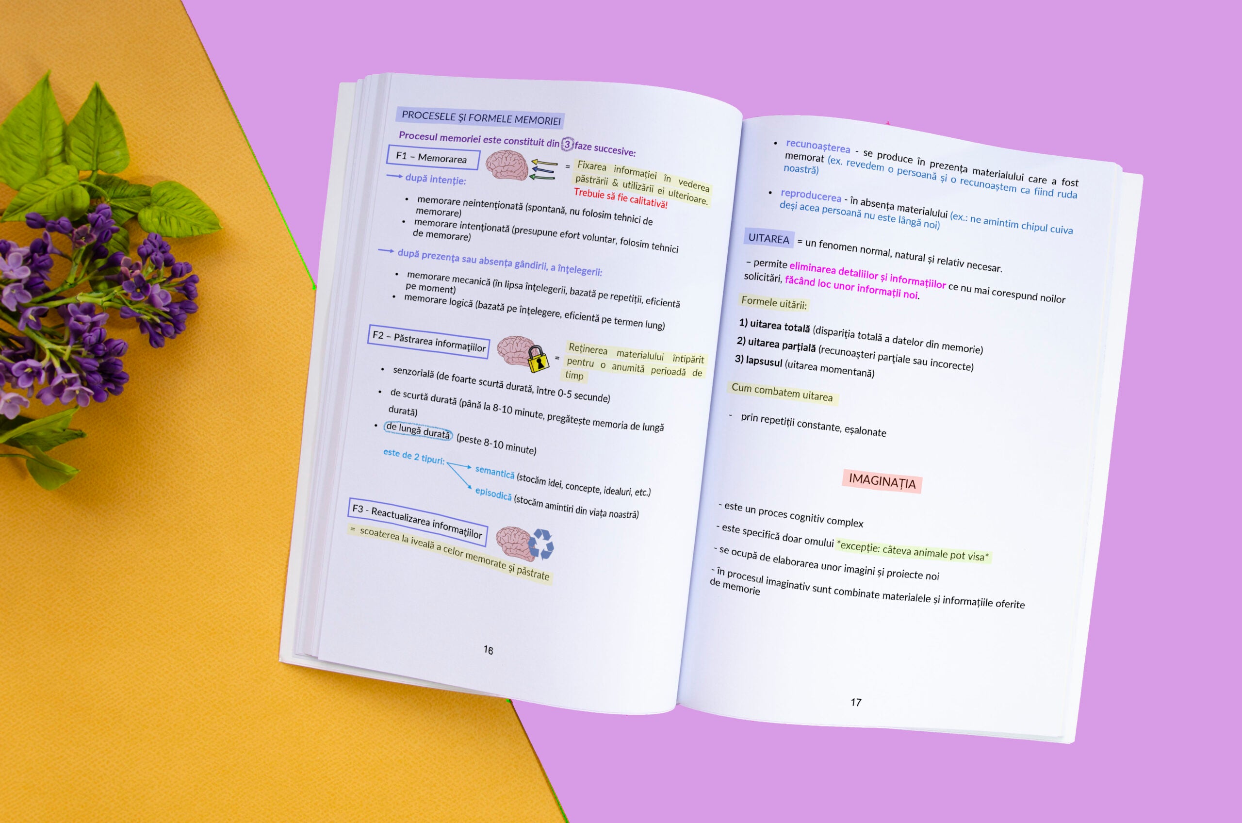 PAGINA-2-interior-PSIHOLOGIE_BACADEMIA