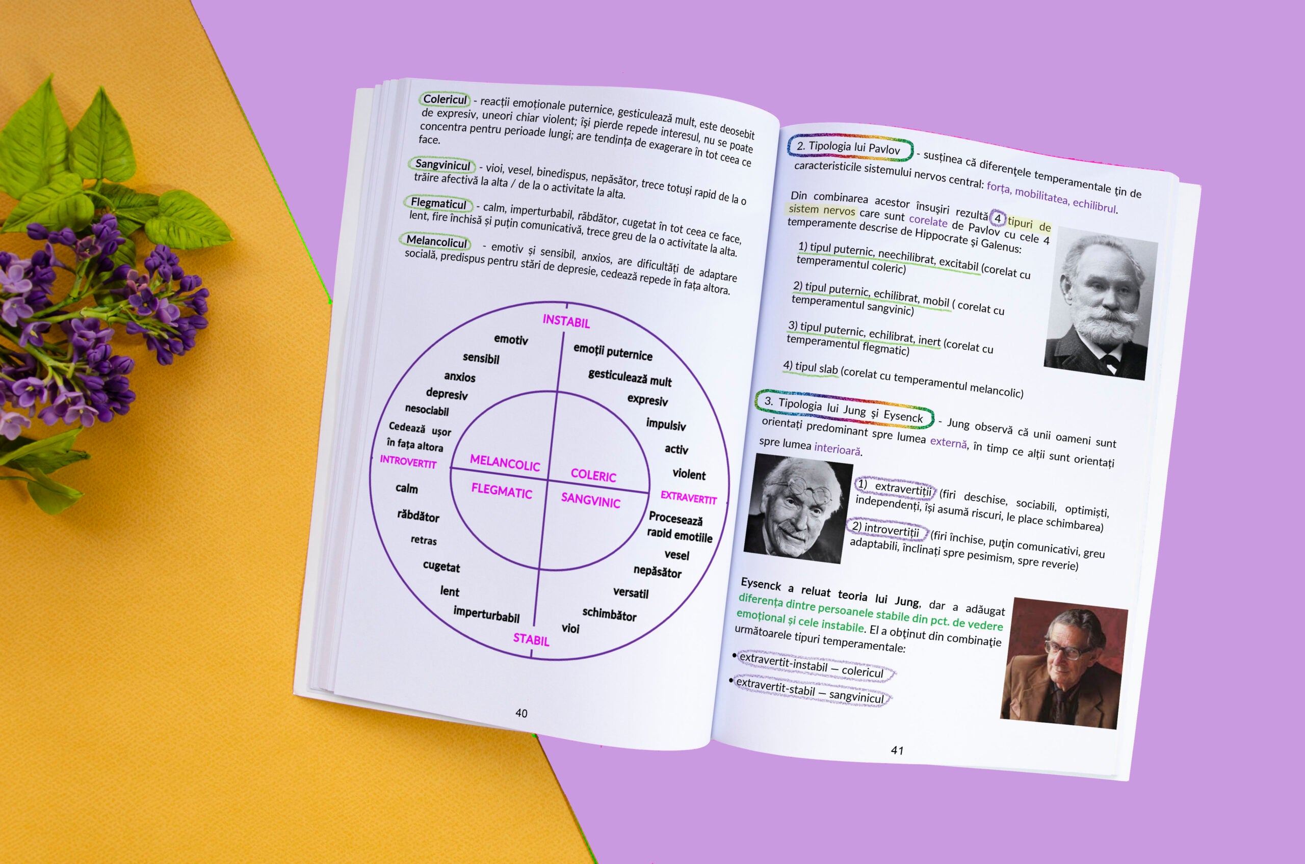 interior-PSIHOLOGIE_BACADEMIA-v2