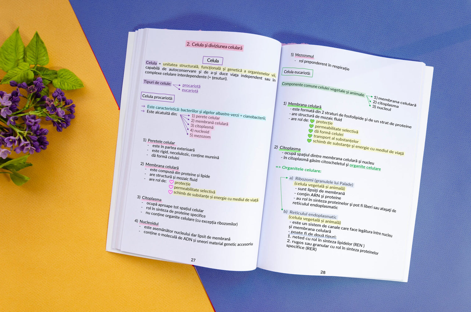 1. Interior-Carte-Biologie-Vegetală-și-Animală-Bacalaureat-Bacademia-min