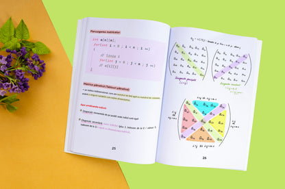 Carte Informatică Bacalaureat C/C++ Bacademia