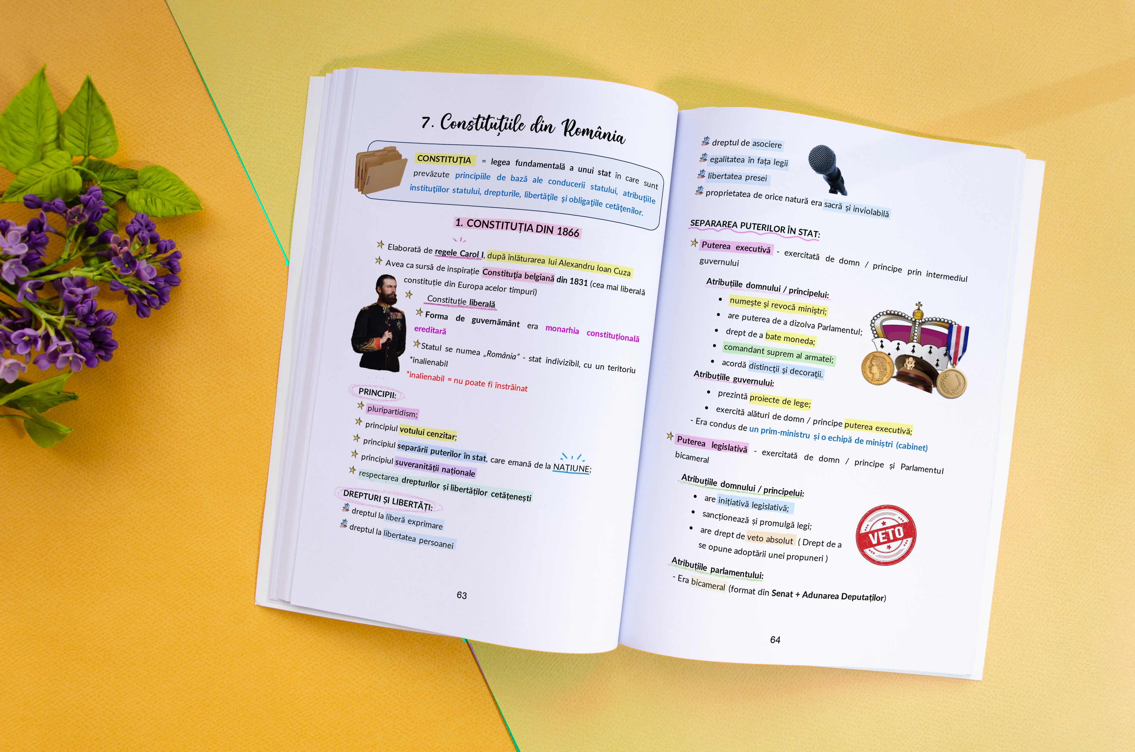 Pachet Bacalaureat (Română + Istorie) Bacademia
