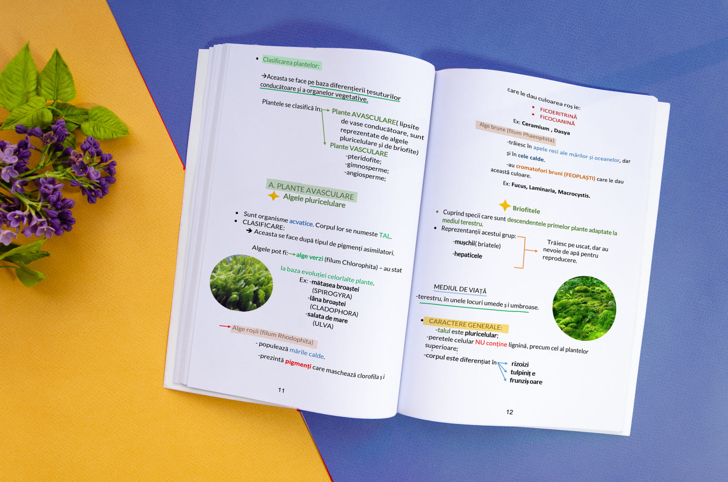 PAGINA2-Interior-Carte-Biologie-Vegetală-și-Animală-Bacalaureat-Bacademia