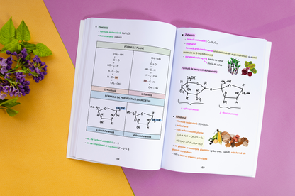 interior_chimie_1